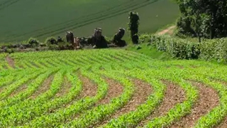 Albenir Querubini - Advogado e Professor de Direito Agrário