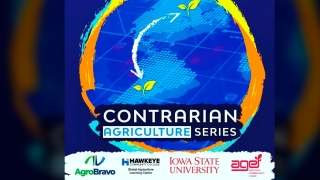 Julio Bravo - Diretor AgroBravo