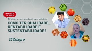 Atendendo ao novo mercado de frutas e hortaliças: qualidade, rentabilidade e sustentabilidade