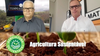 Tempo & Dinheiro