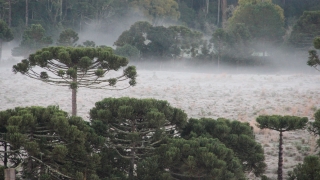 Meteorologia - Previsão do tempo para todo o Brasil