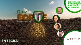 Íntegra Raiz Forte - Vittia