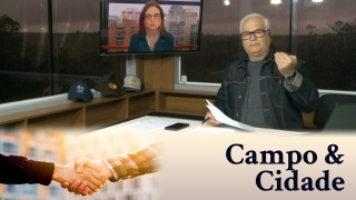 Tempo  & Dinheiro - Campo & Cidade, com Alessandra Mello