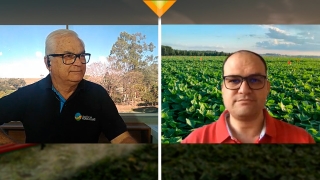 Lucas Navarini - Doutor em Fitopatologia e Professor do IFRS