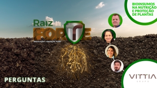 Perguntas Raiz Forte - Vittia