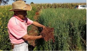 Maicon Fontaina - Fazenda Renovação,Bela Vista/Oeste da Bahia