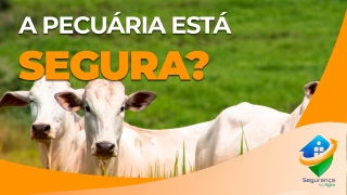 Carlos Zumerle, especialista em segurança no agro