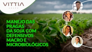 Confira a abertura do evento Manejo das pragas da soja com defensivos macro e microbiológicos