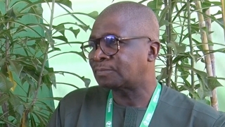 Adama Diarra