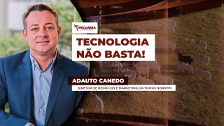 Adauto Canedo - Diretor de Negócios e Marketing da Topigs Norsvin