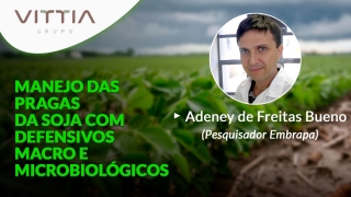Confira a palestra de Adeney de Freitas Bueno