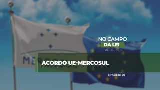 Drª Letícia Moura, advogada da banca @joaodomingosadvogados