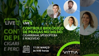 José Roberto P. de Castro - Diretor de Marketing da Vittia