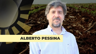 Alberto Pessina