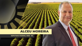Alceu Moreira - Deputado Federal MDB - RS