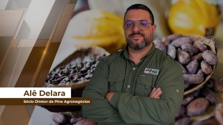 Alê Delara - Sócio Diretor da Pine Agronegócios