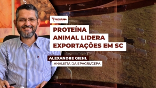 Alexandre Giehl - Analista da Epagri/Cepa