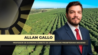 Allan Gallo - Professor de Economia e Direito da Universidade Presbiteriana Mackenzi