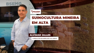Alvimar Jalles - Consultor de Mercado  da Asemg