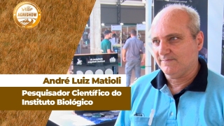 André Luiz Matioli