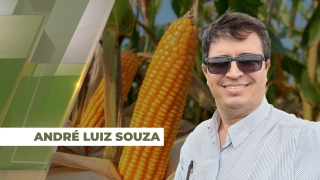 André Luiz Souza - Diretor Técnico da AgroLíder Consultoria Agronômica