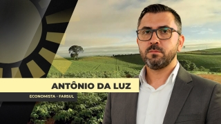 Antônio da Luz - Economista - FARSUL