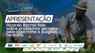 Apresentação