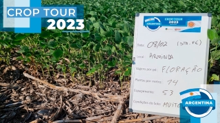 Paulo Veiga - Consultor técnico Big Safra e Charles Anderson Wolmann - Eng agrônomo