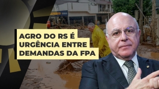 Arnaldo Jardim - Vice-Presidente FPA
