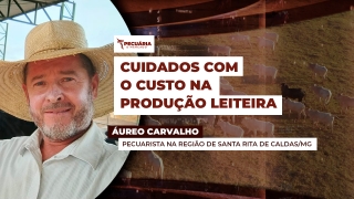Áureo Carvalho - Pecuarista na Região de Santa Rita de Caldas/MG