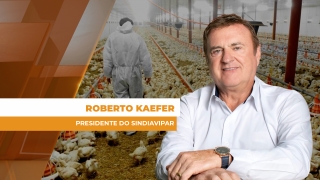 Roberto Kaefer - Presidente do Sindiavipar