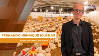 Fernando Henrique Iglesias