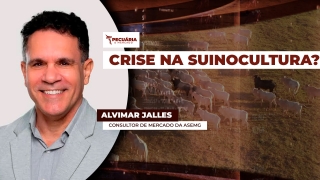 Alvimar Jalles - Consultor de Mercado da ASEMG