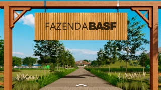 Daniela Ferreroni - Ger. Sr. de Excelência Comercial de Soluções para Agricultura BASF