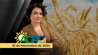 Bom dia Agronegócio