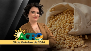 Bom dia Agronegócio
