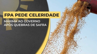 Arnaldo Jardim - Vice-presidente da FPA