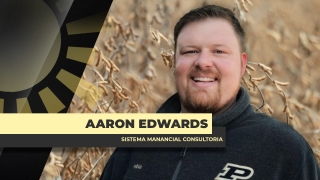 Aaron Edwards - Sistema Manancial Consultoria