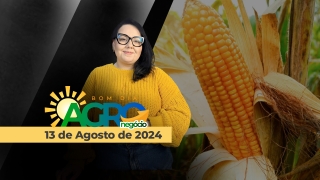 Bom dia Agro