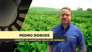 Pedro Borges - Gerente de Marketing Enlist no Cerrado
