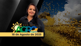Bom Dia Agro - Com Carla Mendes