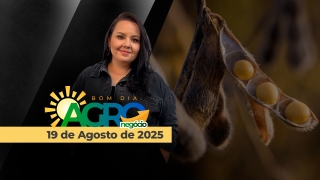 Bom Dia Agro - Com Carla Mendes