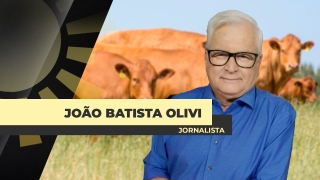 João Batista Olivi - Jornalista