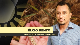 Élcio Bento - Analista da Safras & Mercado