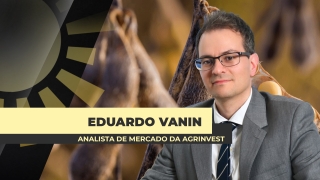 Eduardo Vanin - Analista de Mercado da Agrinvest