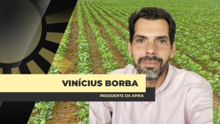 Dr. Vinícius Borba - Advogado