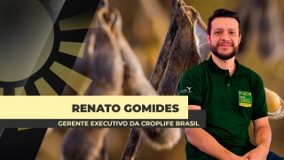 Renato Gomides - Gerente executivo da CropLife Brasil
