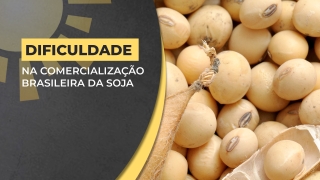 Antônio Galvan - Presidente da Aprosoja Brasil