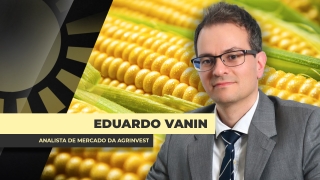 Eduardo Vanin - Analista de Mercado da Agrinvest