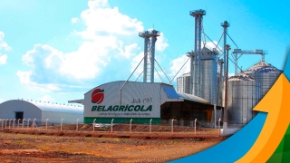 William Guerreiro - Diretor Comercial da Belagrícola